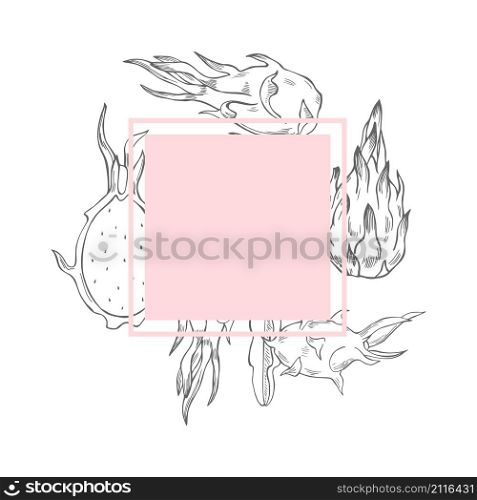 Vector frame with hand drawn pitahaya on a white background. Sketch illustration.. Vector frame with hand drawn pitahaya