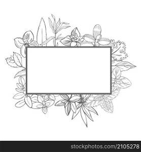 Vector frame with hand drawn spicy herbs. Sketch illustration.. Hand drawn spicy herbs.