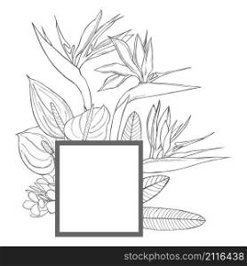 Vector frame with hand drawn tropical flowers. Sketch illustration. Vector frame with hand drawn tropical flowers.