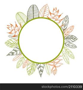 Vector frame with hand drawn tropical plants.