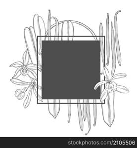 Vector frame with hand drawn vanilla. The pods and flowers. Sketch illustration.. Hand drawn vanilla. Vector illustration.