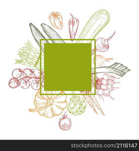 Vector frame with hand drawn vegetables on white background. . Hand drawn vegetables on white background.