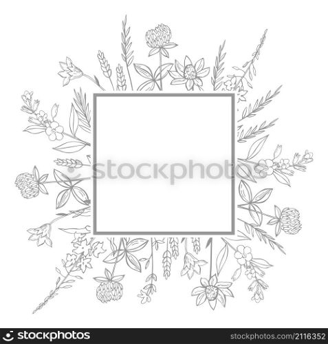 Vector frame with hand drawn wild herbs and flowers.