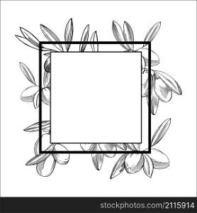 Vector frame with hand drawn with olive branches.