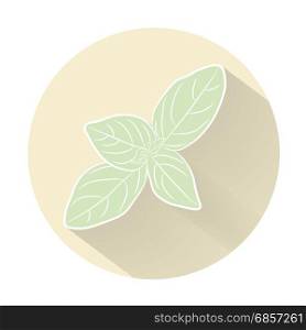 Vector fresh basil herbs. Aromatic leaves used to season meats, poultry, stews, soups. Flat icon with long shadow effect in stylish colors of web design objects, business, office and marketing items.