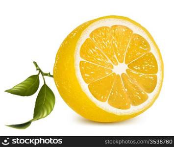 Vector. Fresh lemon with leaves.