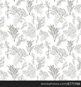 Vector fresh parsley, thyme and rosemary herbs. Aromatic leaves used to season meats, poultry, stews, soups, Bouquet granny. Seamless pattern
