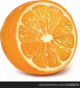 Vector fresh ripe orange