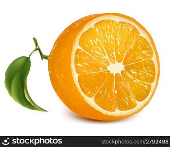 Vector fresh ripe orange with leaf.