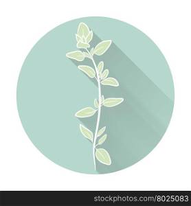 Vector fresh thyme herbs. Aromatic leaves used to season meats, poultry, stews, soups. Flat icon with long shadow effect in stylish colors of web design objects, business, office and marketing items.