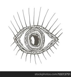 Vector Funky Human  Eye with long lashes. Engraving Style