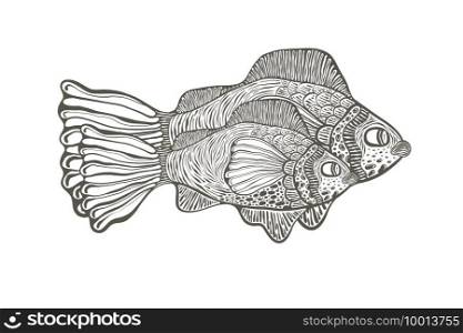 Vector Funky Illustration. Two fish engraving style 