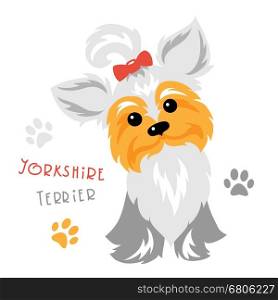 Vector funny Yorkshire terrier dog sitting. Cute funny dog silver blue and pale cream Yorkshire terrier breed sitting vector