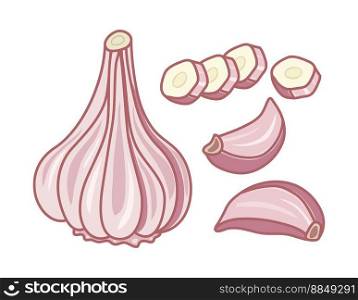 vector garlic whole and sliced vegetable, aromatic spice icon isolated on white background. organic food ingredient for good health. garlic spice symbol