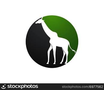 Vector giraffe silhouette, abstract animal illustration