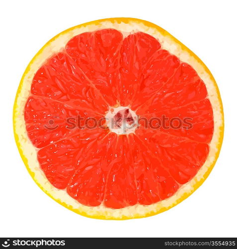 Vector Grapefruit
