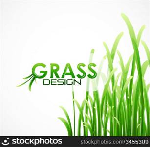 Vector grass background