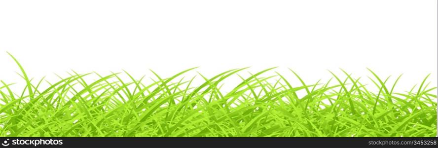 Vector grass design template