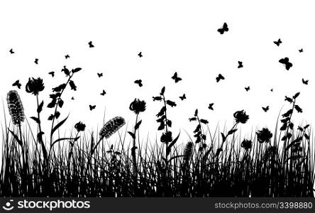 Vector grass silhouettes background for design use. 16:13