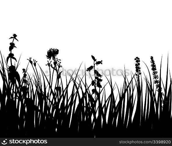 Vector grass silhouettes background for design use. 16:18