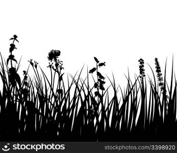 Vector grass silhouettes background for design use. 16:18