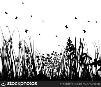 Vector grass silhouettes background for design use. 16:19