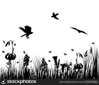 Vector grass silhouettes backgrounds for design use