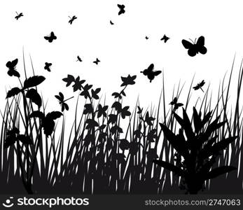 Vector grass silhouettes backgrounds for design use