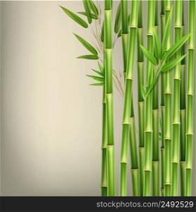 Vector green bamboo stems and leaves isolated on beige background with copy space. Green bamboo stems