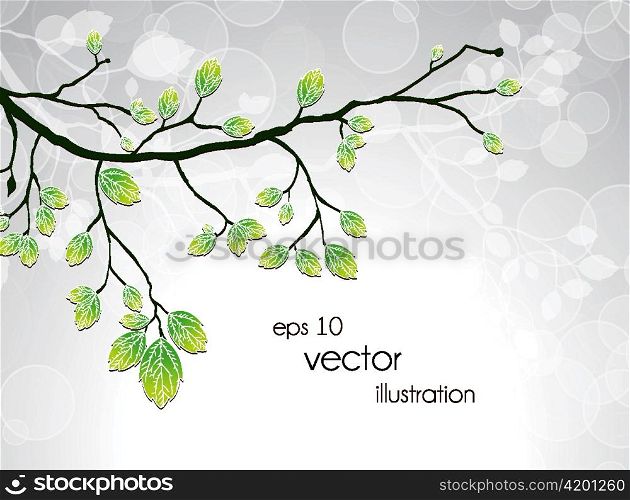 vector green branch with circles