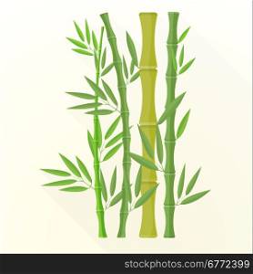 vector green color flat design bamboo plants with leafs illustration isolated light background long shadow&#xA;