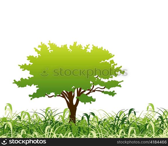 vector green floral background