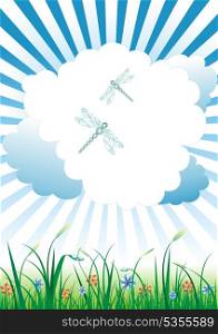 vector green grass and blue sky dragonflies and clouds. summer card