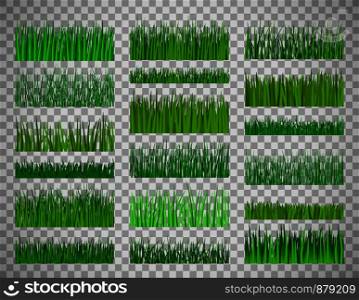 Vector green grass. Grass border horizontal set isolated on transparent background. Grass border set on transparent background