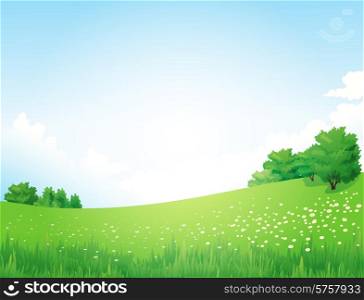 Vector Green Landscape with trees clouds flowers . Green Landscape with trees clouds flowers
