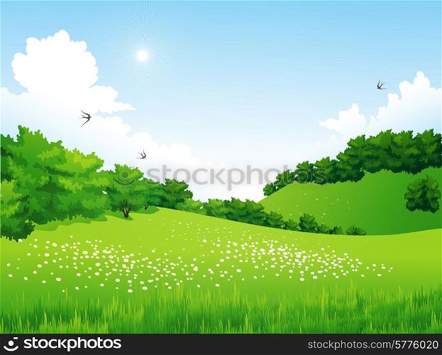 Vector Green Landscape with trees, clouds, flowers. Summer meadow