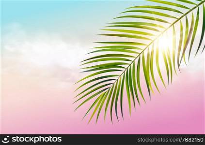 Vector green leaf of palm tree on spectrum sky background and sun rays. Green leaf of palm tree on white background