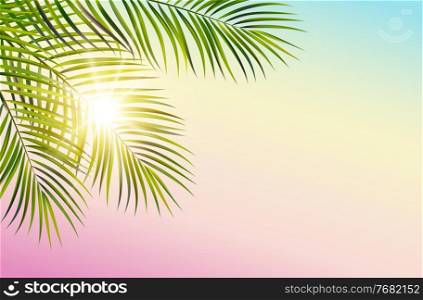 Vector green leaf of palm tree on spectrum sky background and sun rays. Green leaf of palm tree on white background