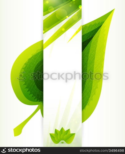 Vector green leaf texture