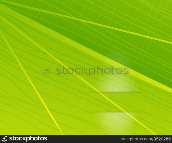 Vector green leaf texture