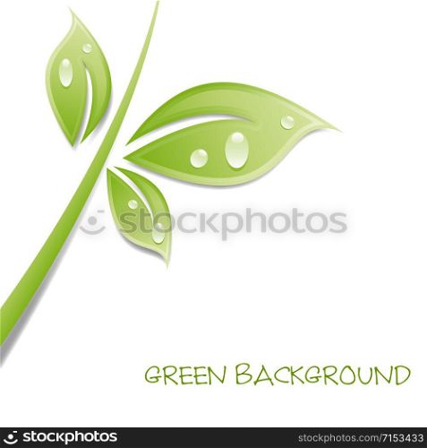 Vector Green leaves background