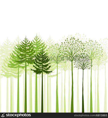 Vector green mixed forest, landscape of trees