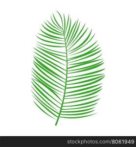 Vector green palm leaf. Vector green palm leaf on white background