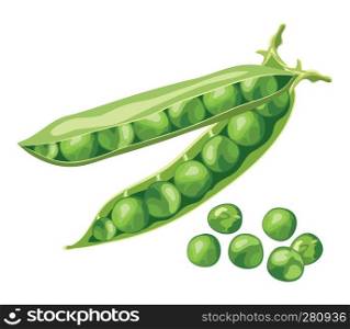 vector green pea beans