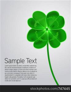 Vector greeting card with clover