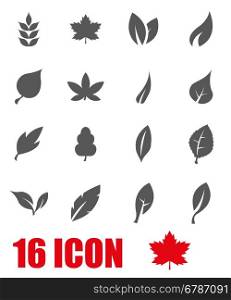 Vector grey leaf icon set. Vector grey leaf icon set on white background