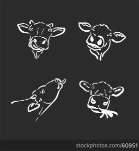 Vector group of a cow head on black background. Farm Animal.