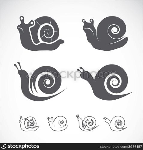 Vector group of a snail on white background