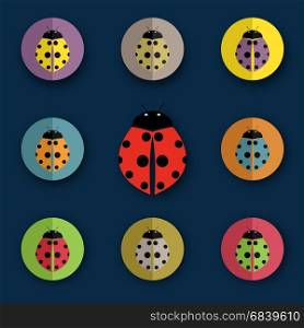 Vector group of beetles on blue background