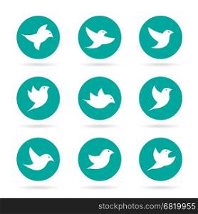 Vector group of bird in the circle on white background